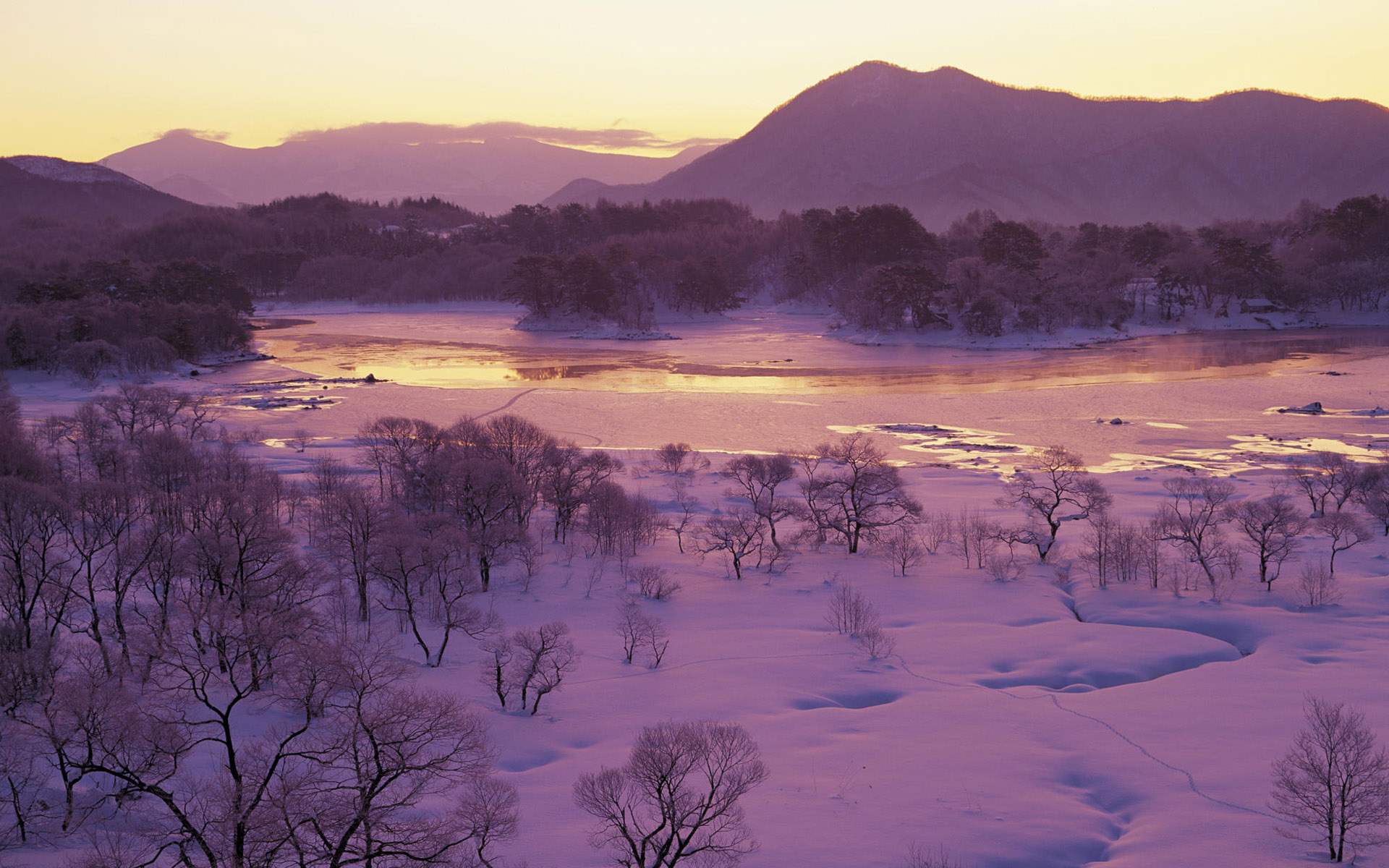 宽屏雪景壁纸