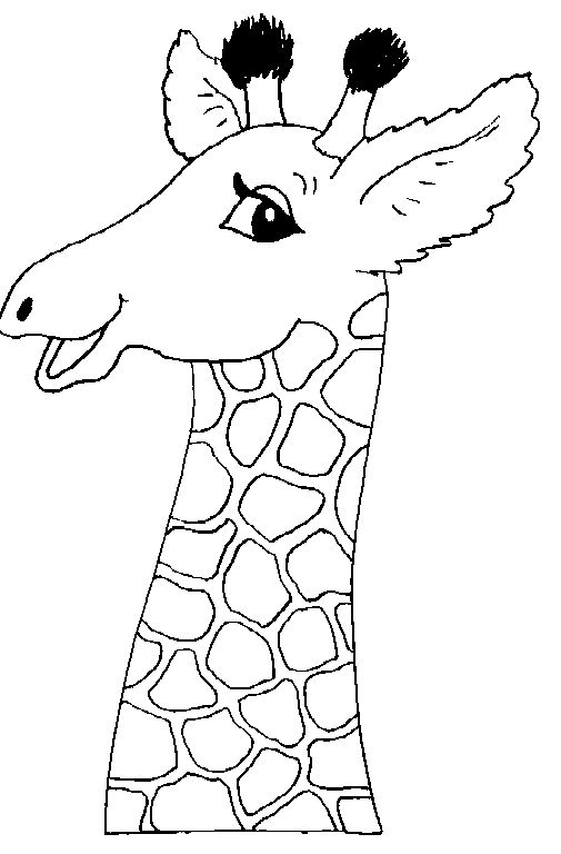 长颈鹿简笔画:长颈鹿
