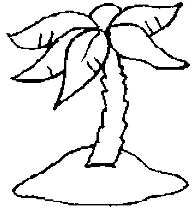 椰子树简笔画:我的椰子树 _ 椰子树简笔画_ 教