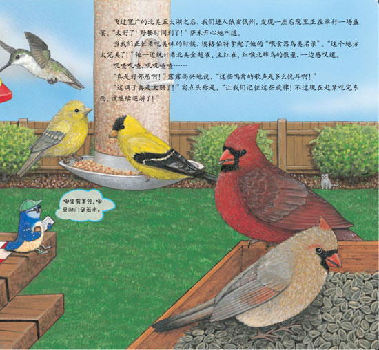 《蓝色乐团观鸟之旅》之美洲寻歌之旅精彩连载
