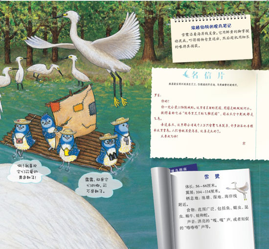 《蓝色乐团观鸟之旅》之狂野海岸历险记精彩连载