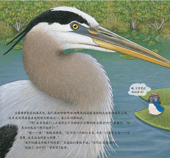 《蓝色乐团观鸟之旅》之狂野海岸历险记精彩连载