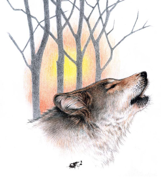 绘本连载 大自然的故事科学童话绘本系列绘本 狼王梦 3-6岁 亲子阅读