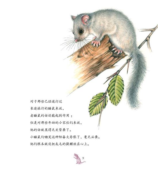 《大自然的故事科学童话》之小睡鼠要冬眠绘本连载
