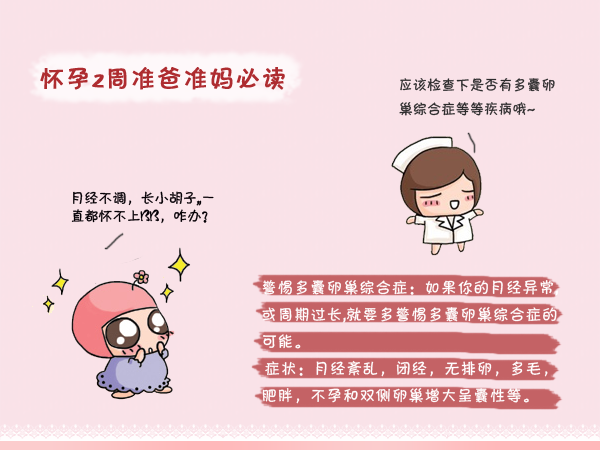 怀孕2周准爸妈指南