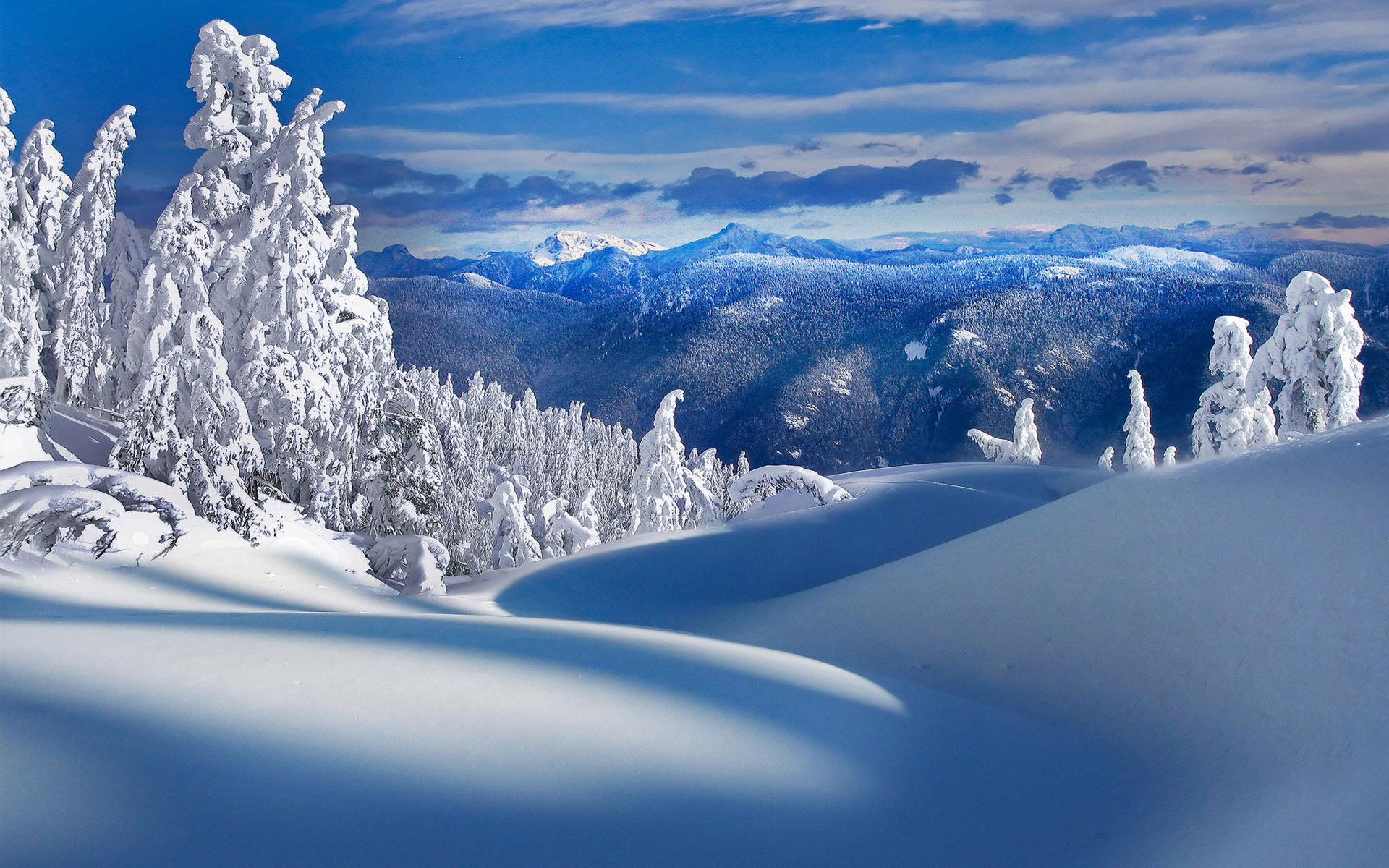 最美雪景 壁纸图片