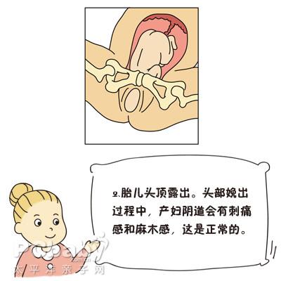ڶ
